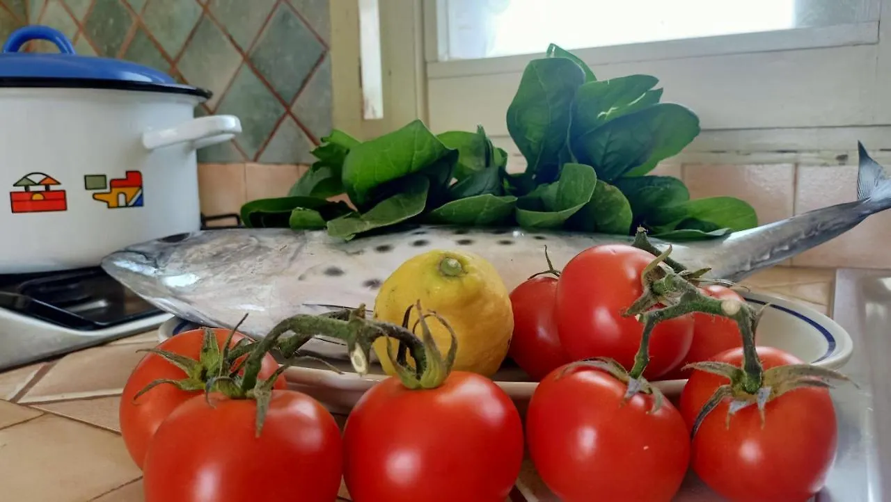 Appartamento La Casa Dei Delfini Lampedusa